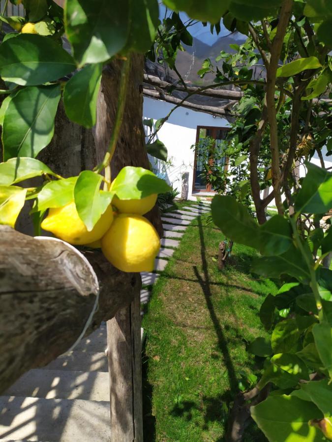 Casa Mia Holiday home *