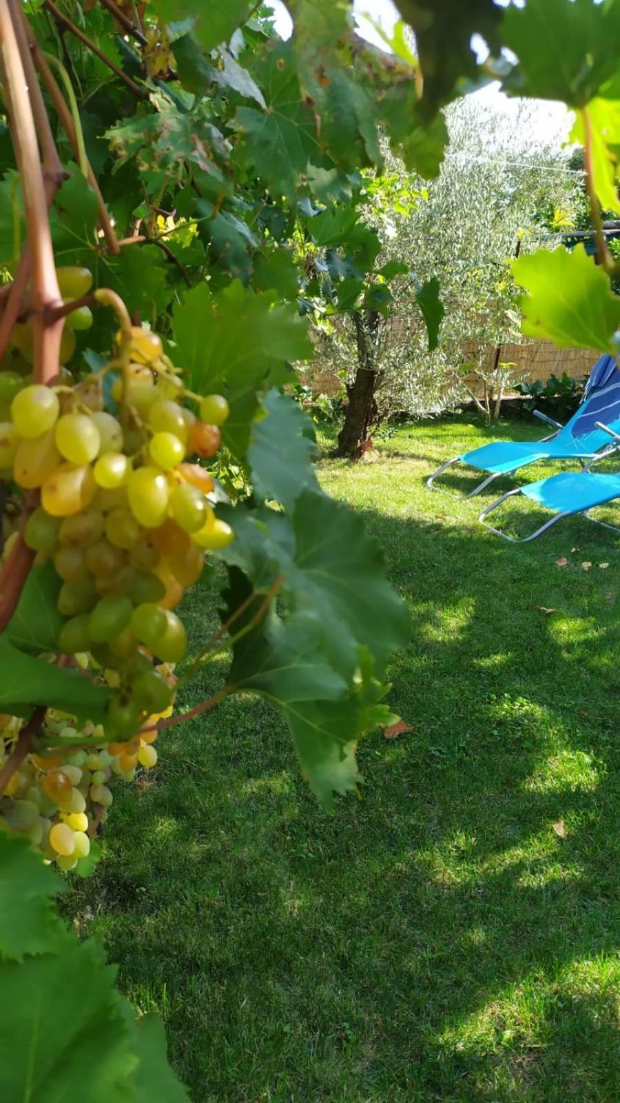 Holiday home Casa Mia Scala