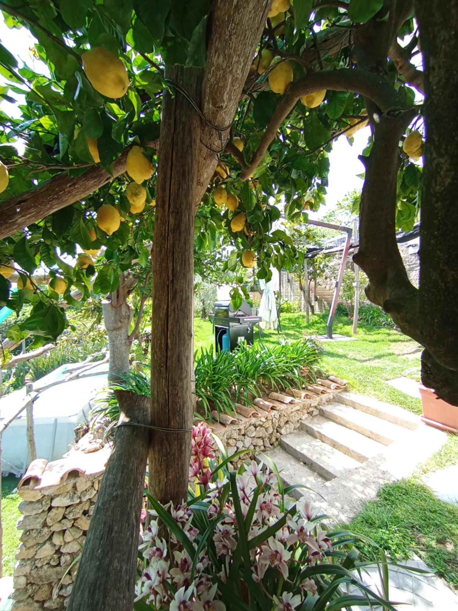 Casa Mia