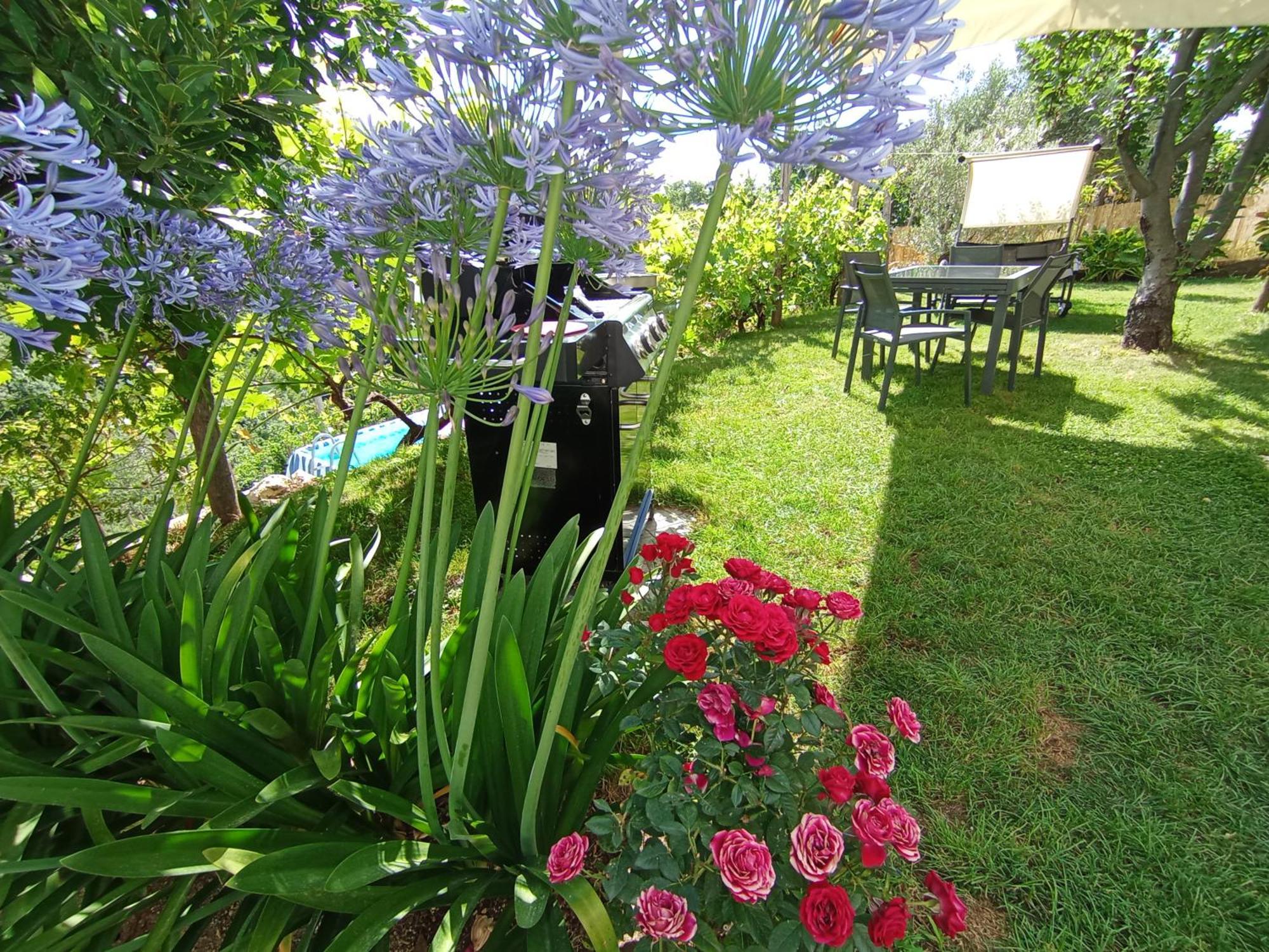 Casa Mia Holiday home *