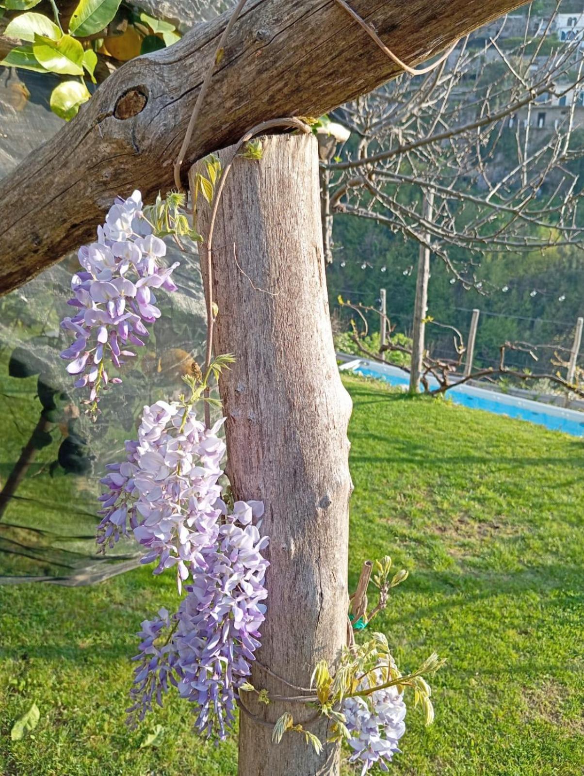 Casa Mia *